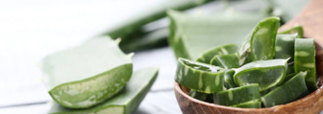 Aloe Vera Oil Aloe Vera Oil