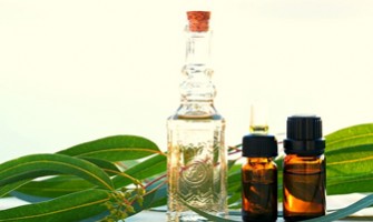 Australian Oil of Eucalyptus
