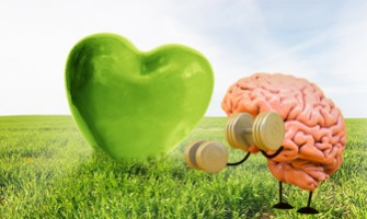 Taking Care Of Heart And Brain